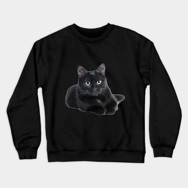 Lazy Cat Crewneck Sweatshirt by TonSlice